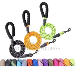 Colorful Dog Leash