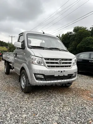 Dongfeng Light Truck 2024