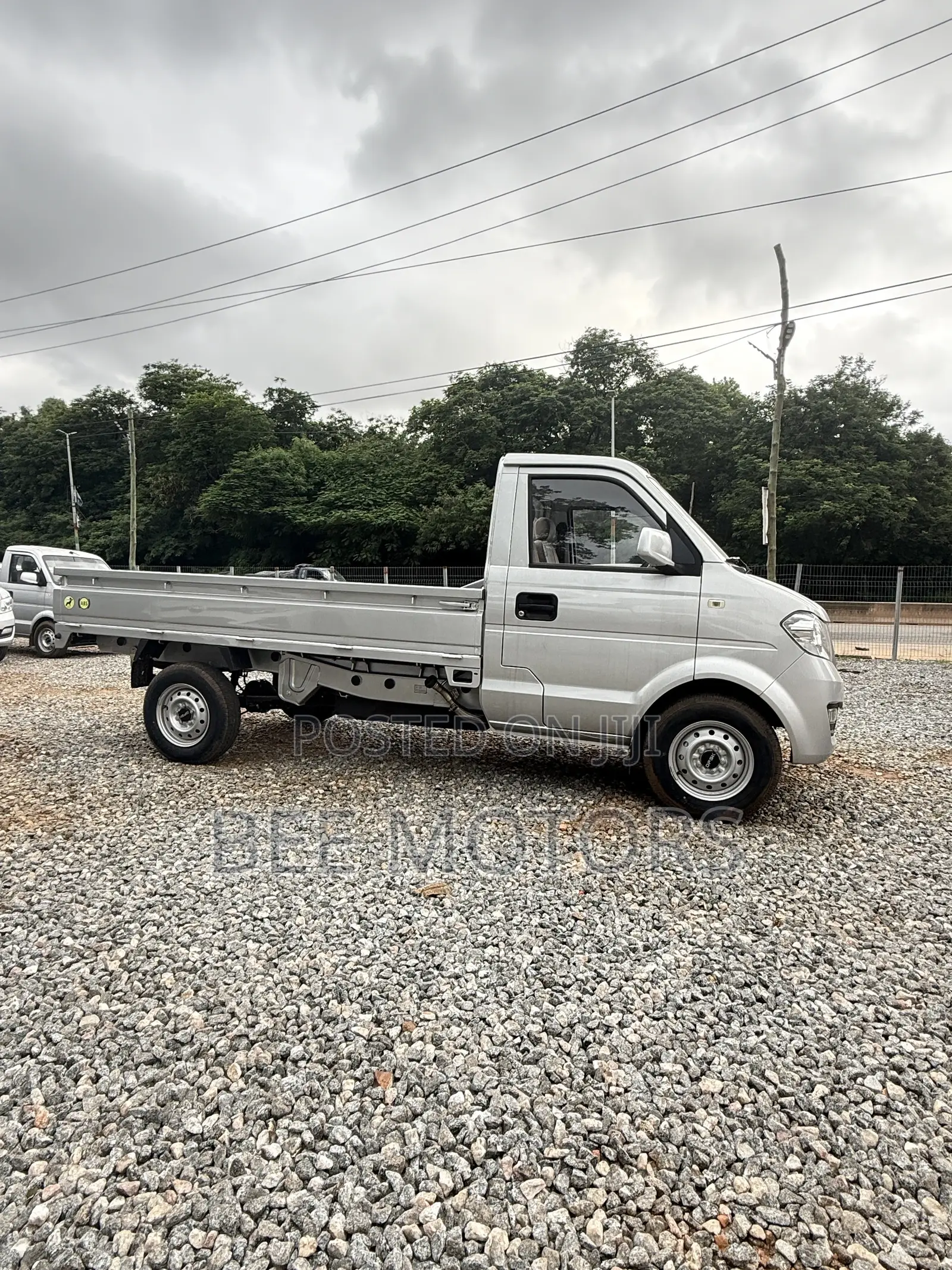 Dongfeng Light Truck 2024