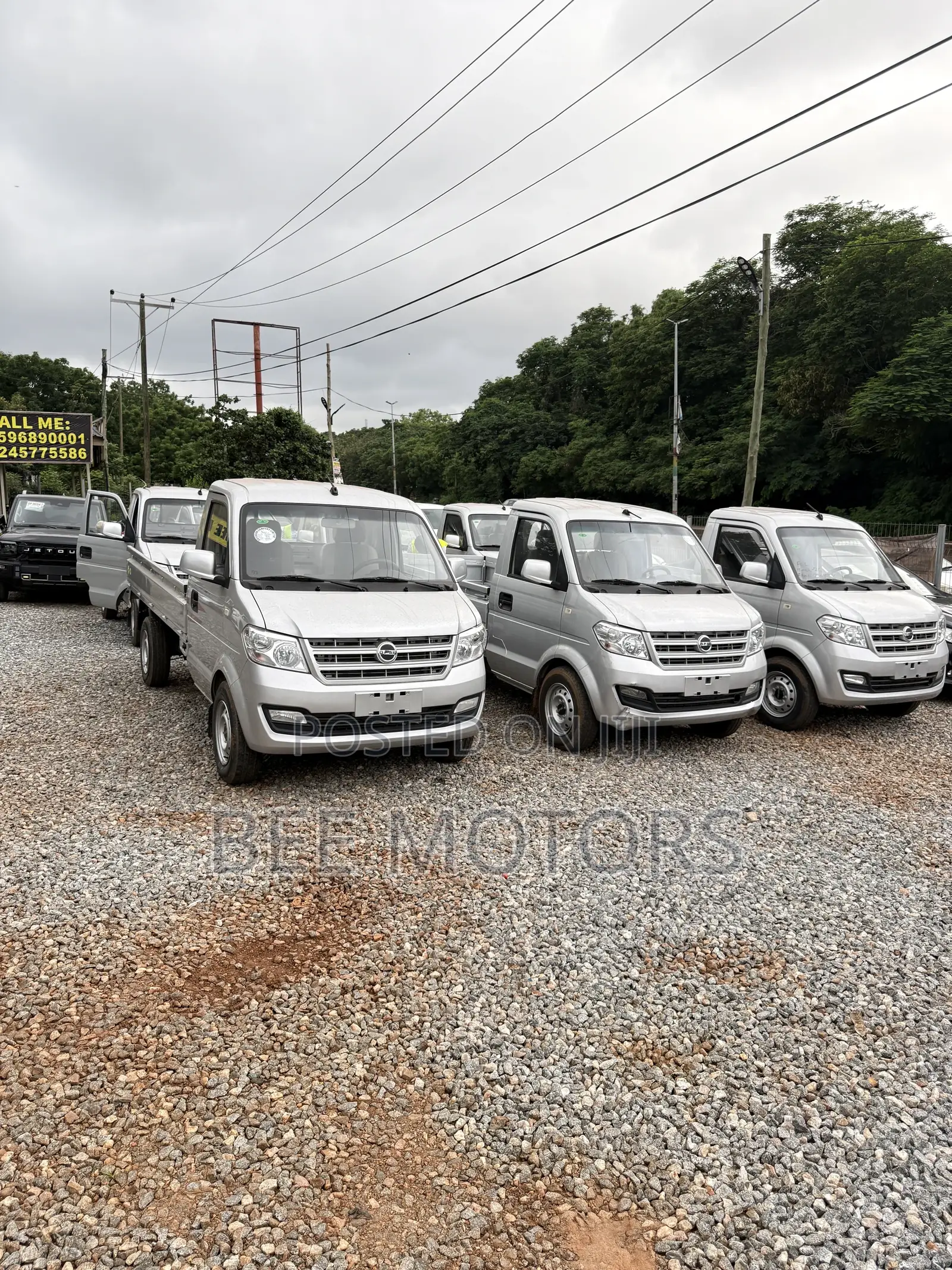 Dongfeng Light Truck 2024
