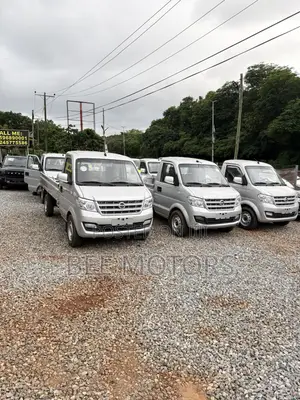Dongfeng Light Truck 2024