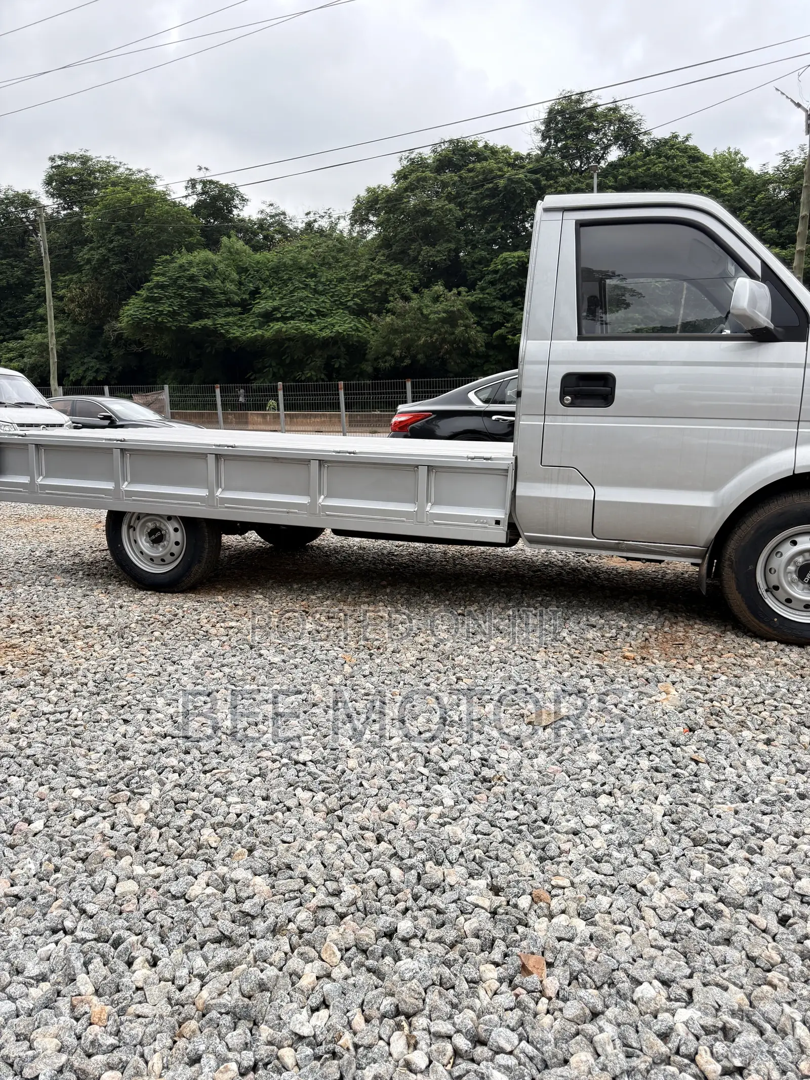 Dongfeng Light Truck 2024