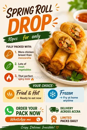 Frozen Spring Rolls