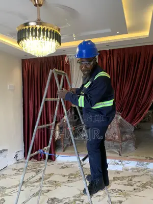 Professional Electrician