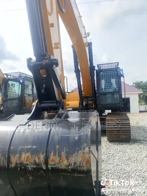China Sany 230
