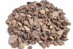 Palm Kernel Shells