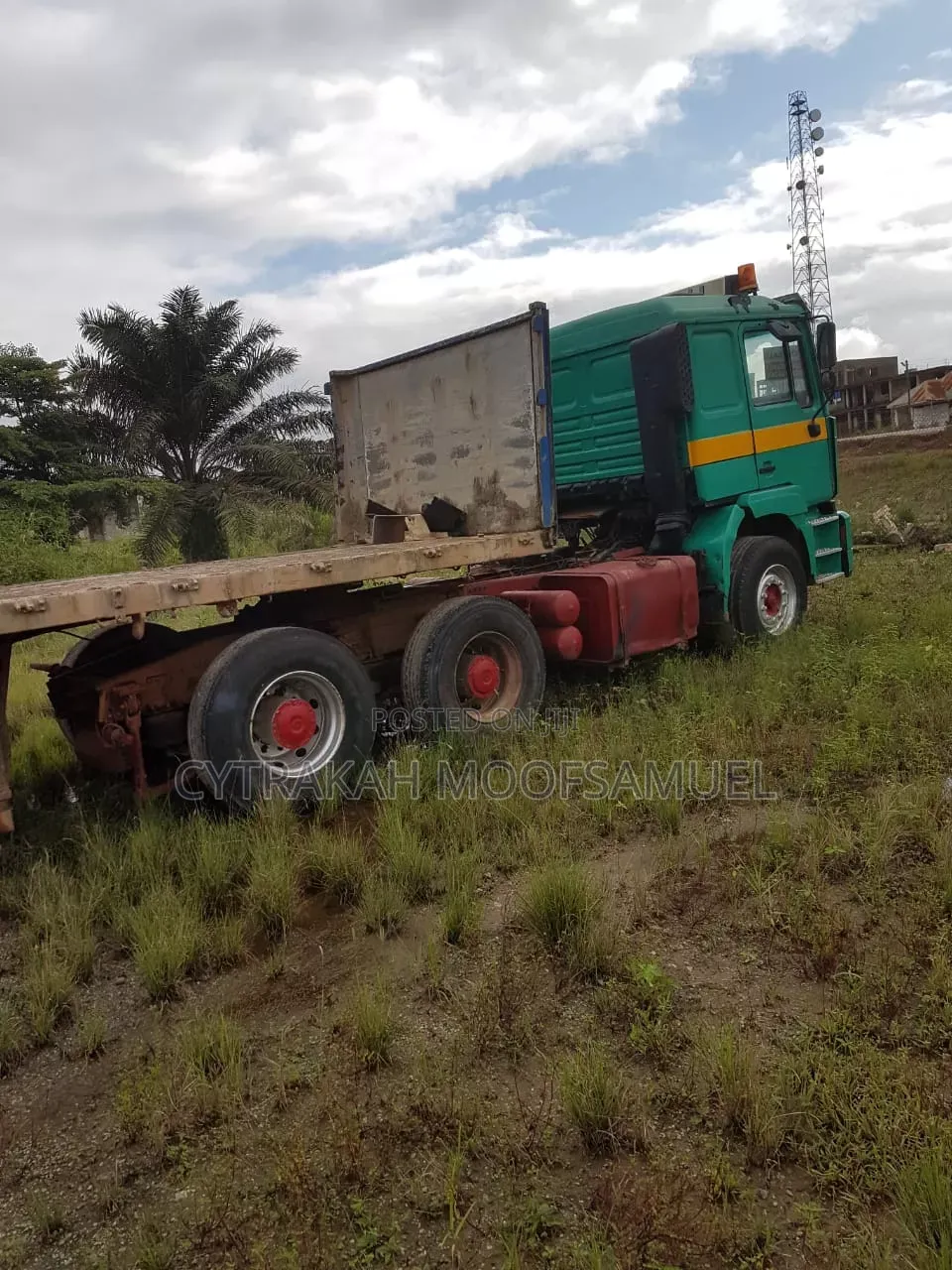 Man T42 2004 Green