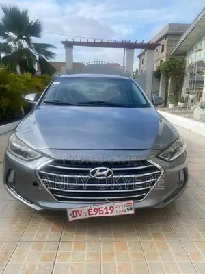 Hyundai Elantra 2017 Gray