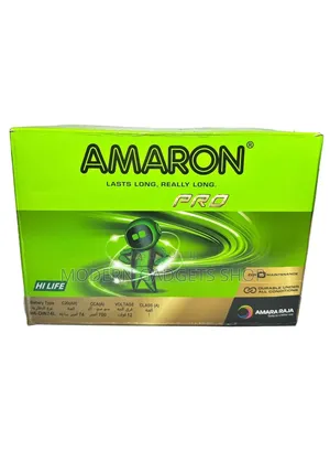 Heavy-Duty Amaron Maintenance-Free 15plt Battery