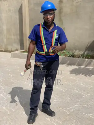 Professional Electrician