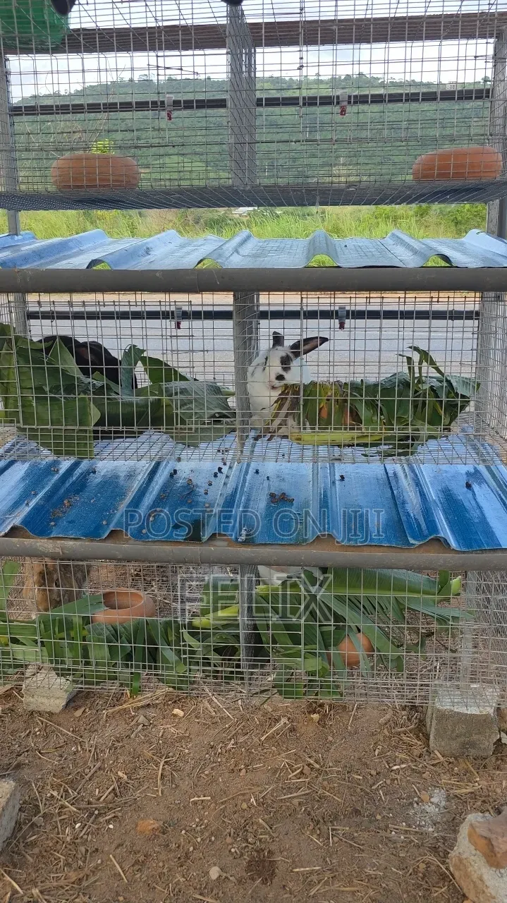 Galvanised 3 Tiers 12 Rooms Rabbit Cage Automatic Water