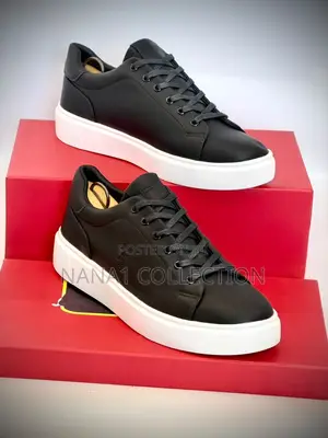 Polo Assn Casual Sneakers in Four Colors