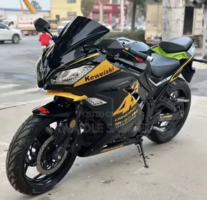 Kawasaki Ninja 300 2020 Yellow