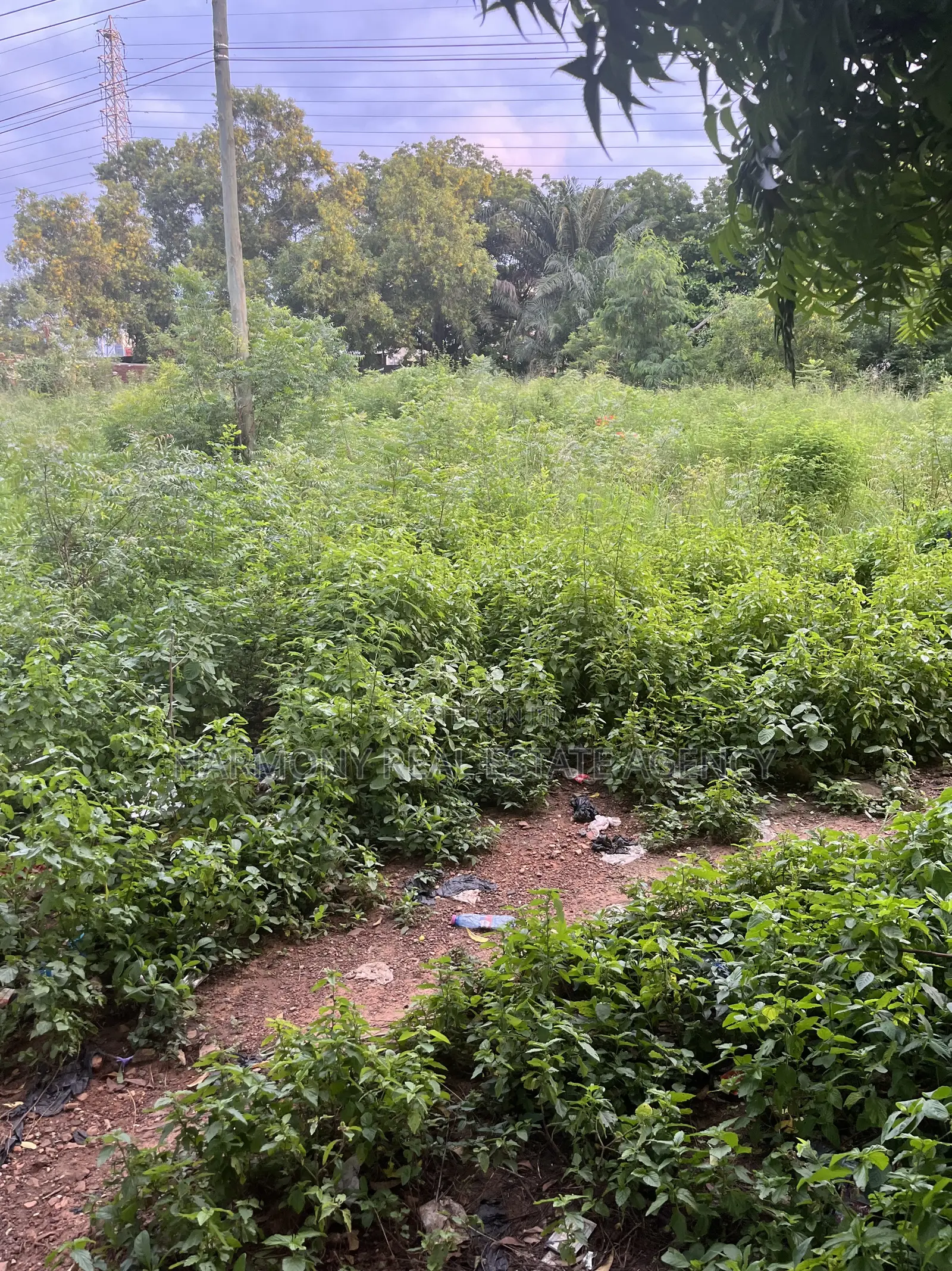 6plots Forsale Airport Residential