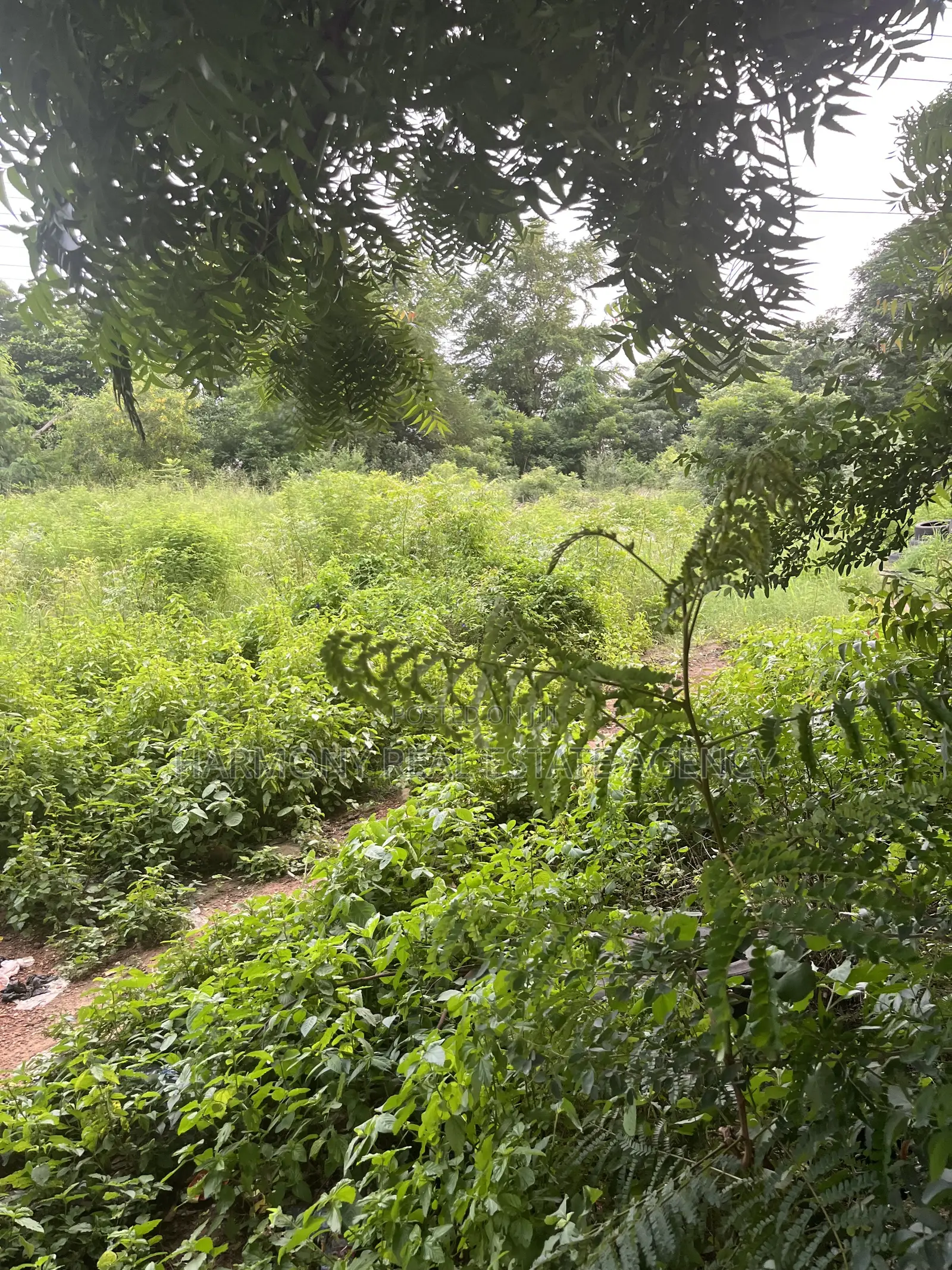 6plots Forsale Airport Residential