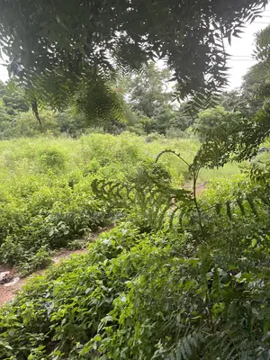 6plots Forsale Airport Residential