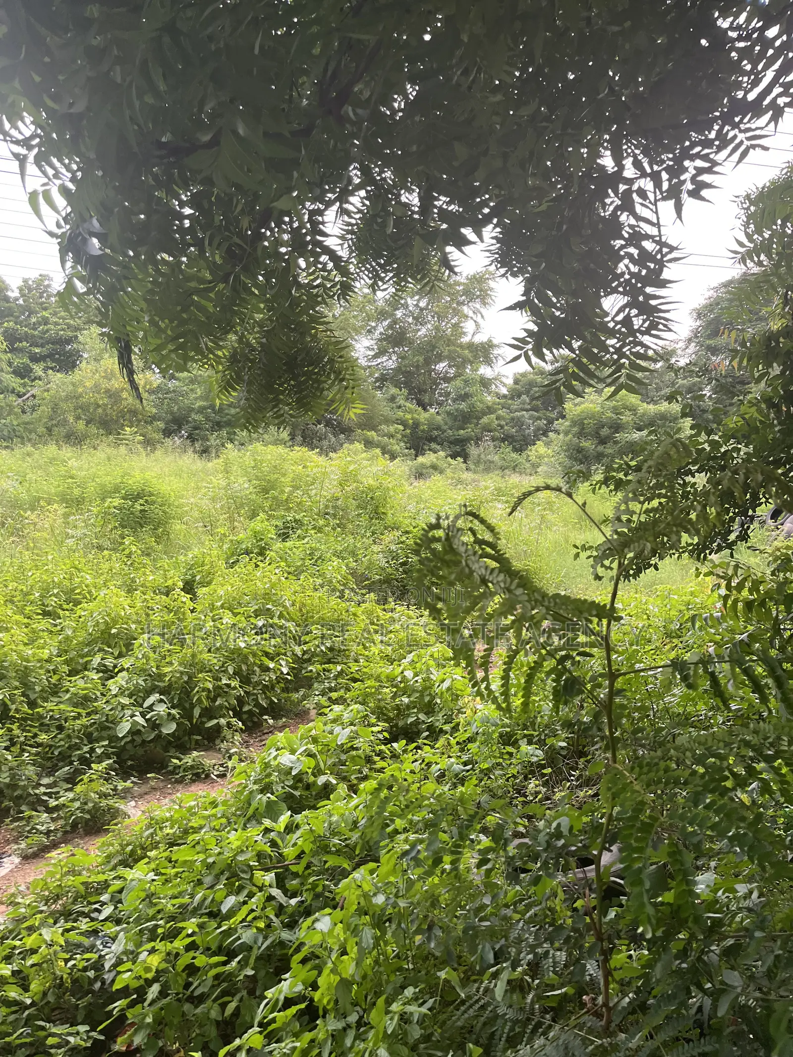 6plots Forsale Airport Residential