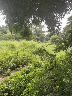 6plots Forsale Airport Residential
