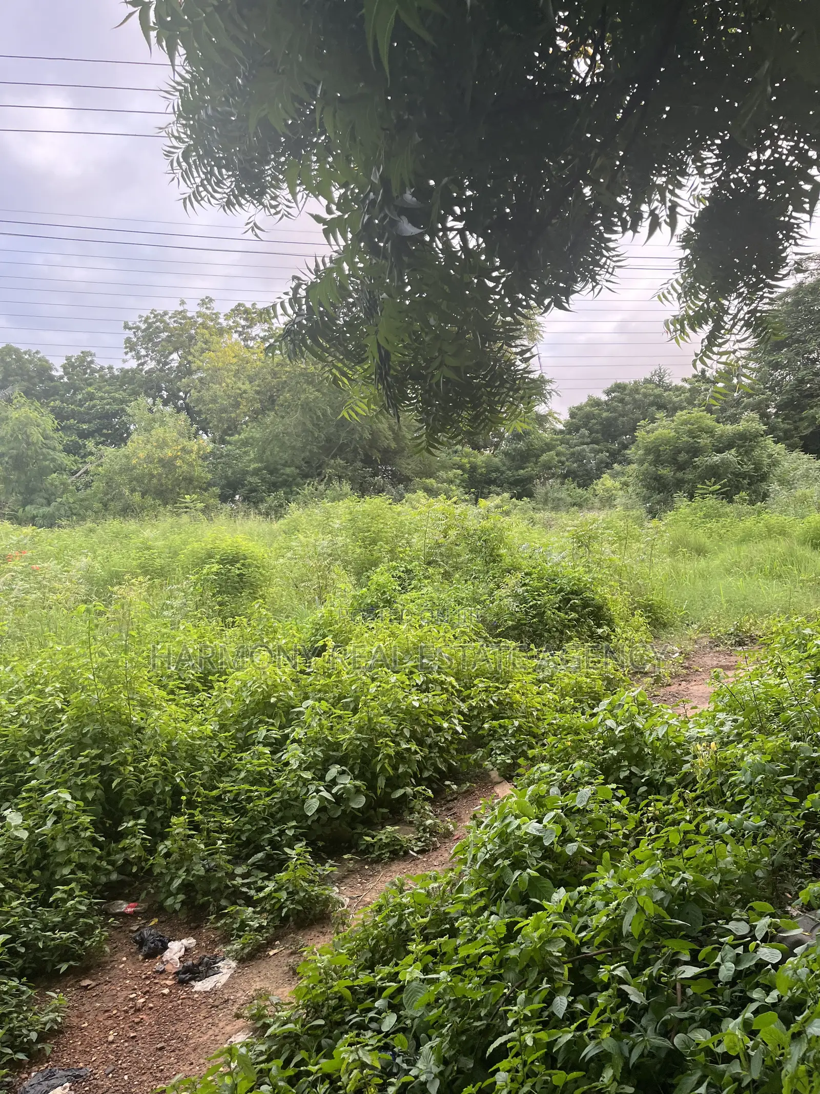 6plots Forsale Airport Residential