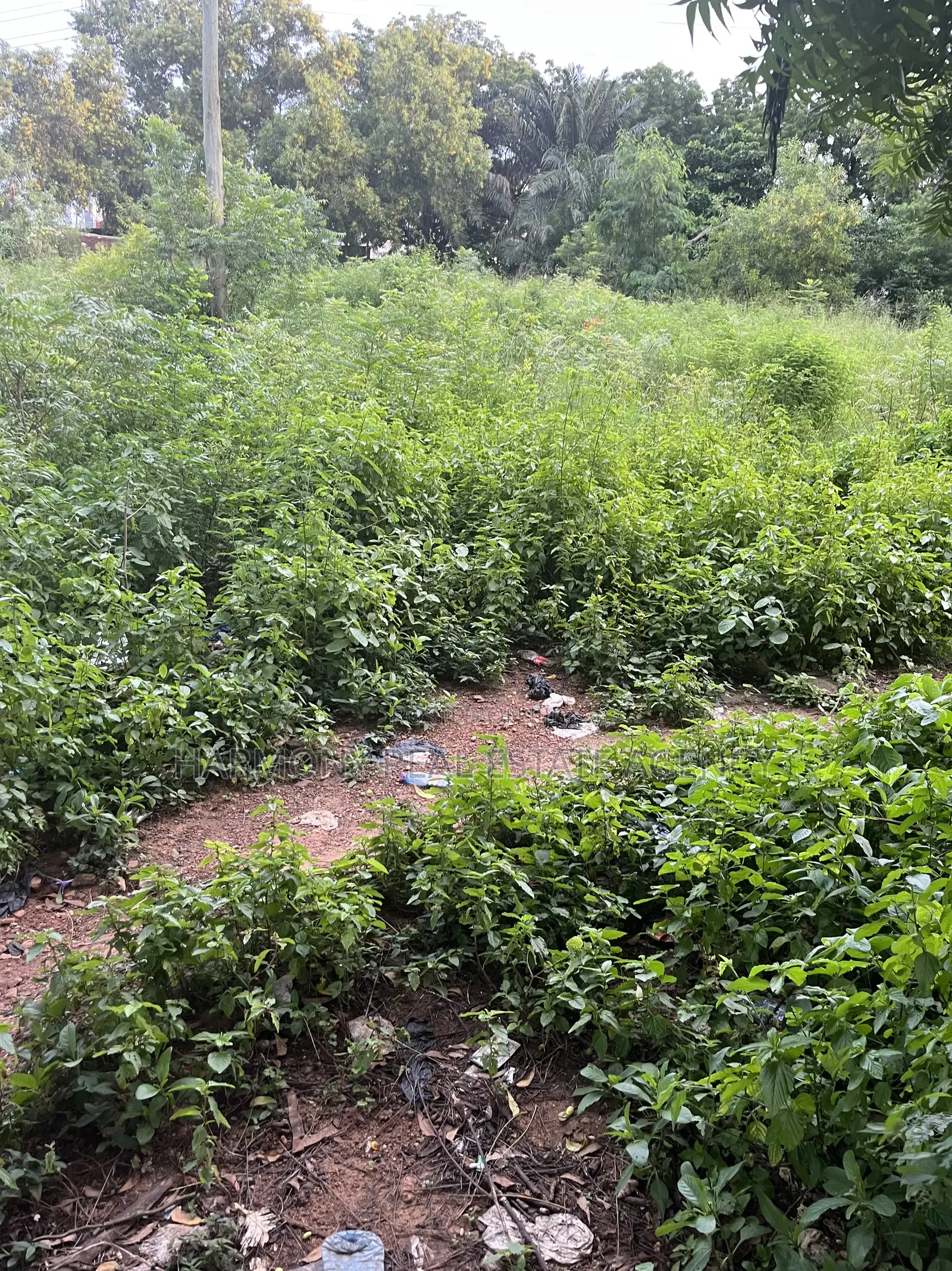 6plots Forsale Airport Residential