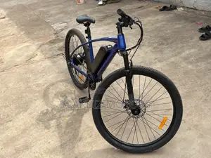 Mountain E-Bike