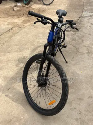 Mountain E-Bike