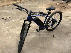 Mountain E-Bike