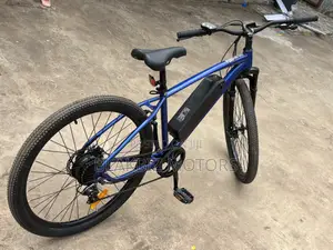 Mountain E-Bike