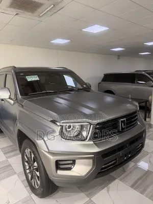New Great Wall Pao 2025 Gray