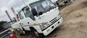 New Isuzu Elf Truck 2025 White