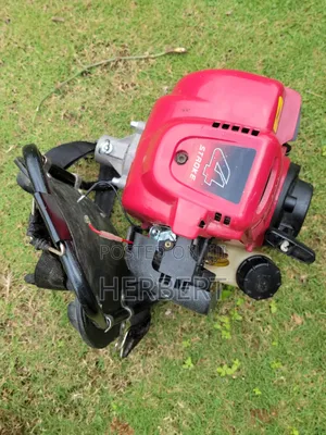 Brush Cutter With Multiple Accessories