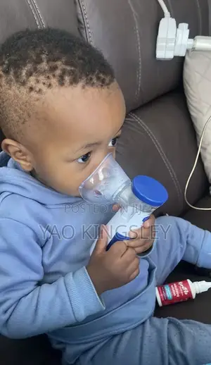 Portable Nebulizer