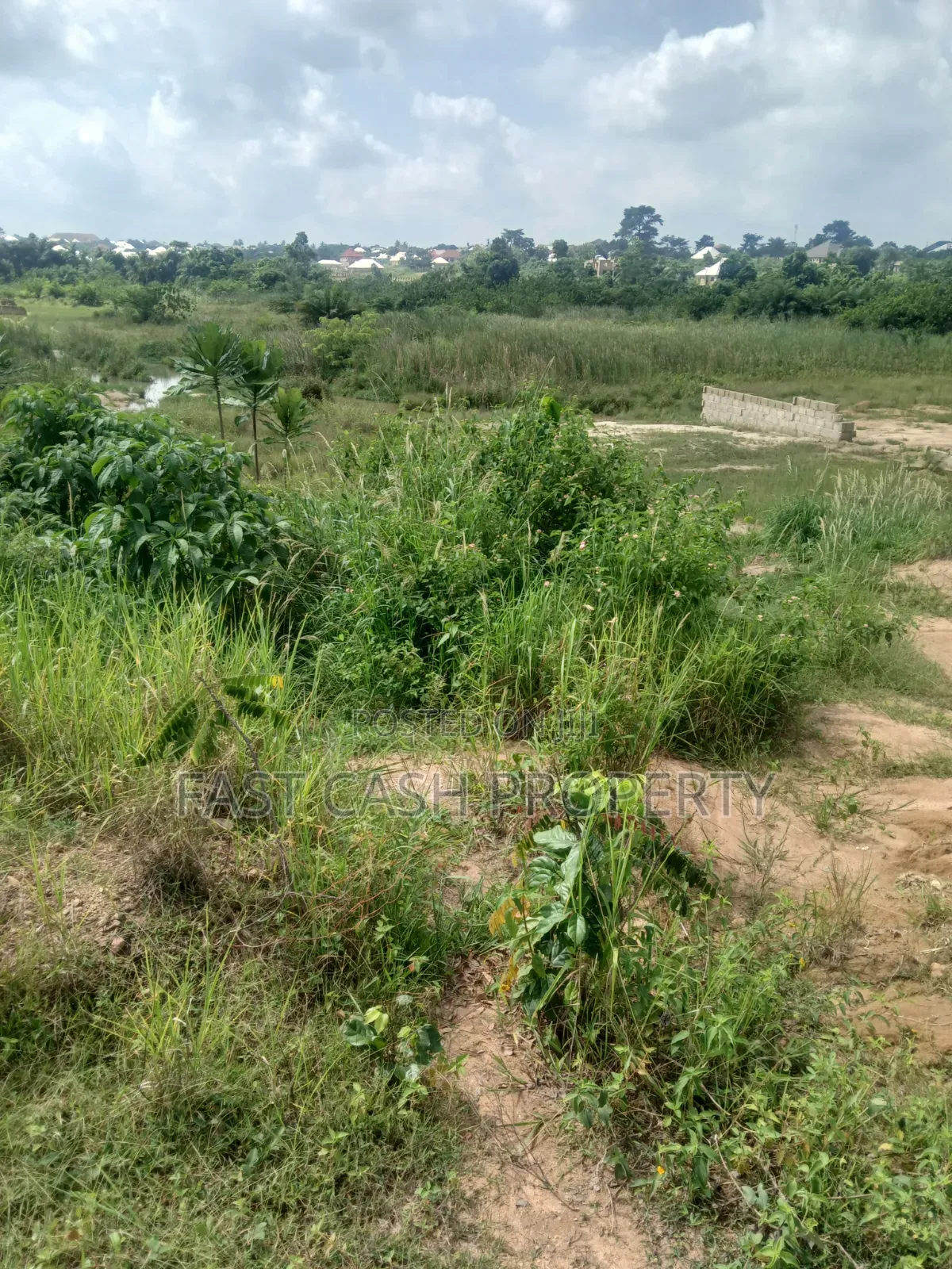 Land for Sale