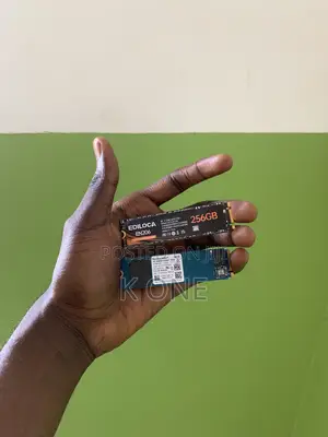 Western Digital SSD