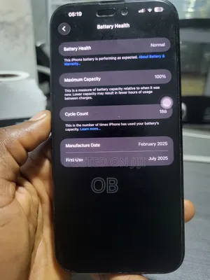 Apple iPhone 16 Pro Max 256 GB Gray