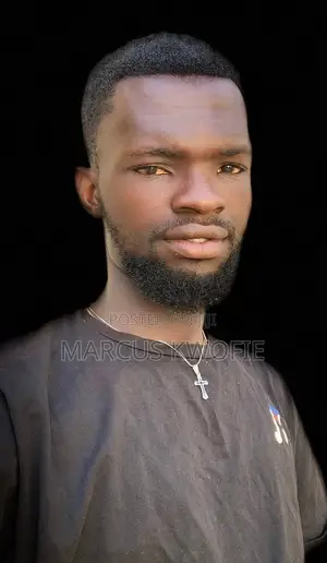 Am Looking for Driving Work