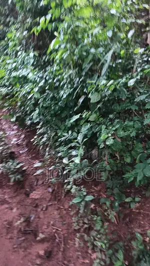 Plots Of Land For Sale In Berekusu Near Asheysi University