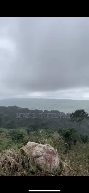 Peduase Lodge Land for Sale.