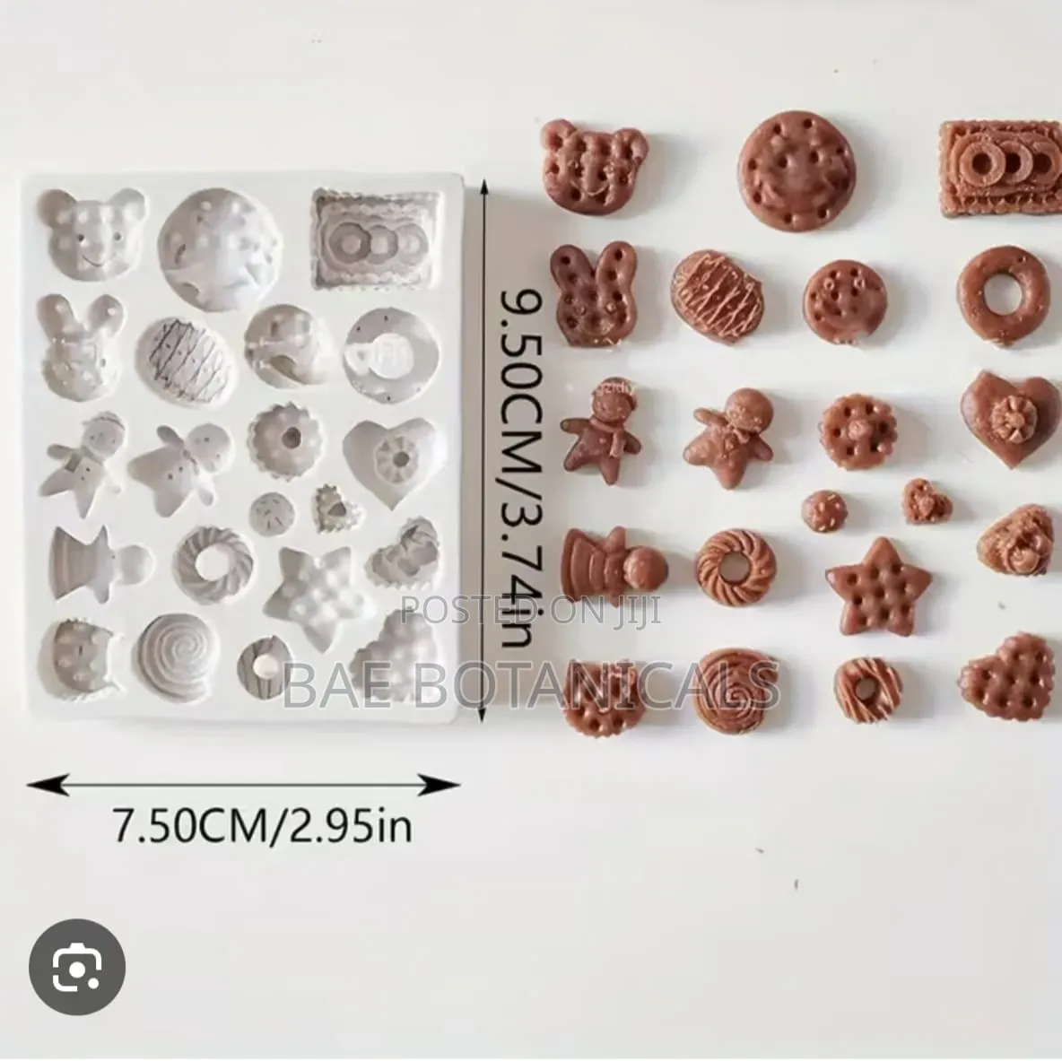 Mini Silicone Mold of Assorted Cookies