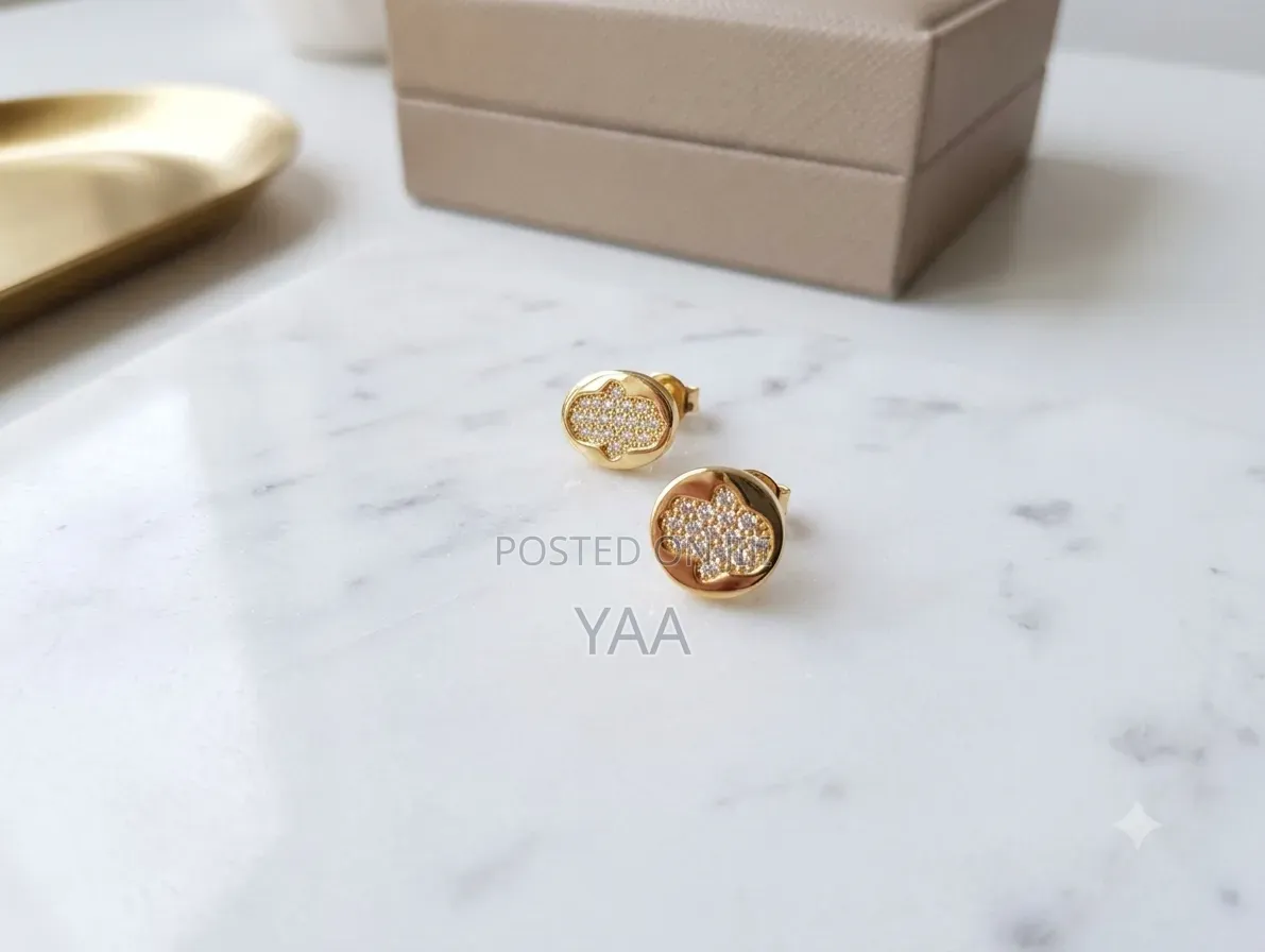 Ladies Stylish Earrings