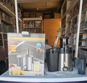 Electric Fruit Juicer