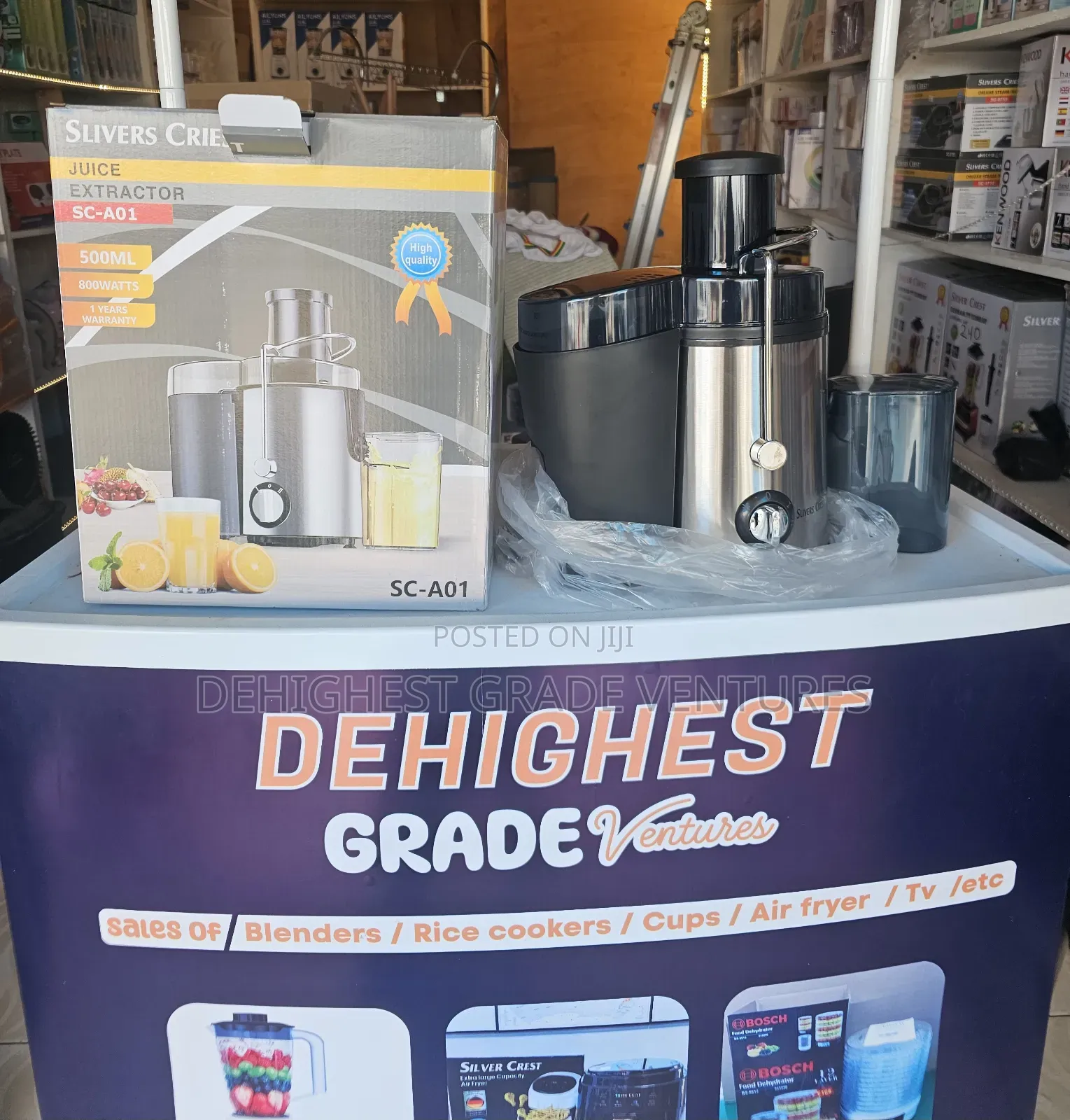 Electric Fruit Juicer