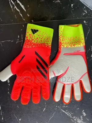 Goalkeepers Gloves