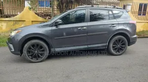 Toyota RAV4 2016 Gray