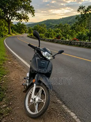 Luojia 110cc 2016 Black