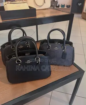 Coach Stylish Bag