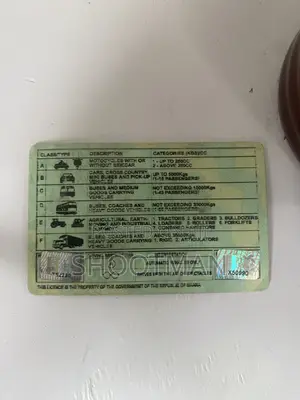 Driver in Need of Job