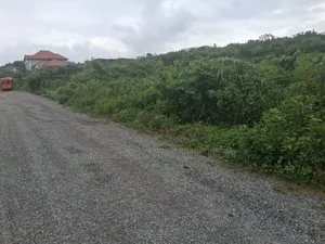 Property for Sale