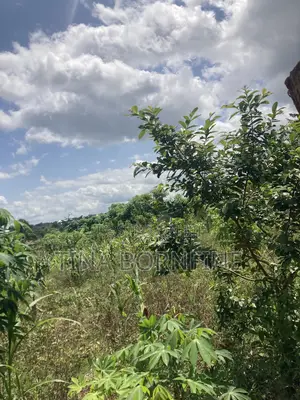 Half Plot of Land in Berekum Kato