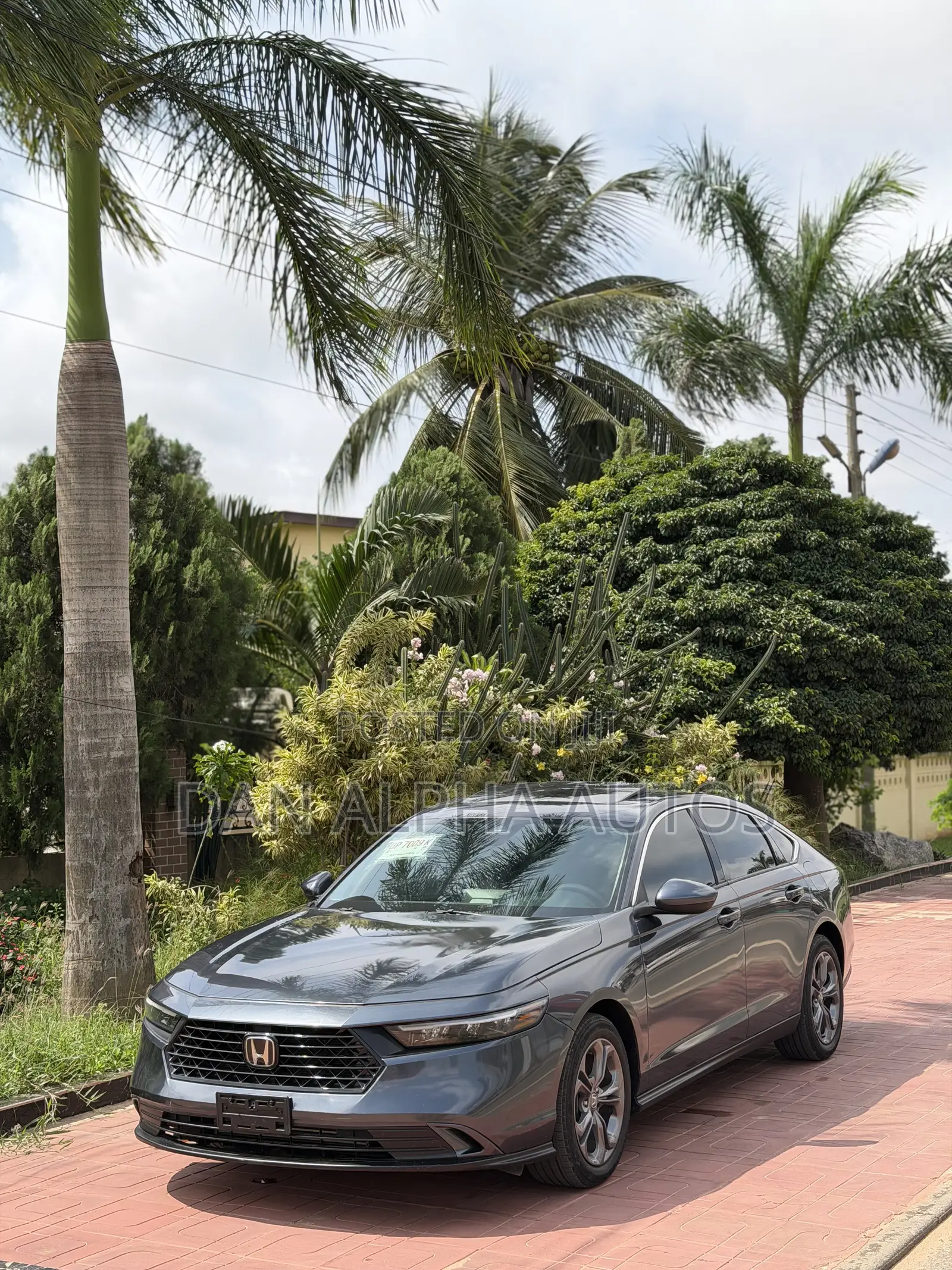 Honda Accord 2023 Gray